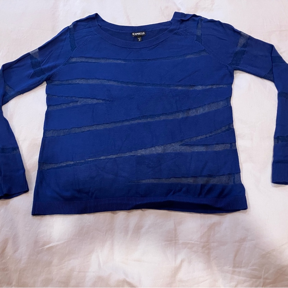 Express Women's Sheer Striped Long Sleeve Top - Blue